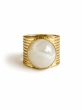 Anillo Ara