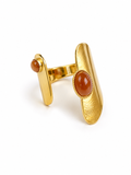 Anillo Abi