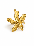 Anillo Hoja