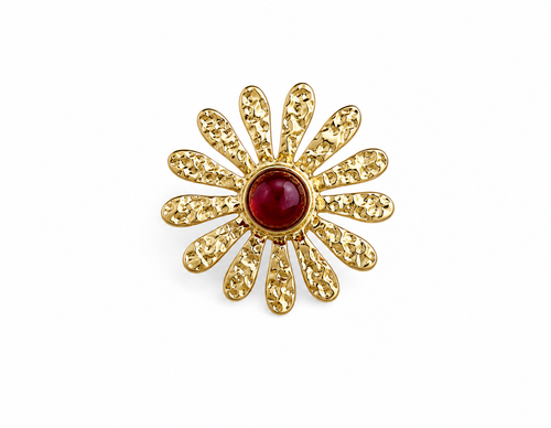 Anillo Marga