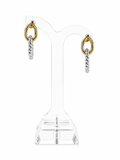 Pendientes Biom