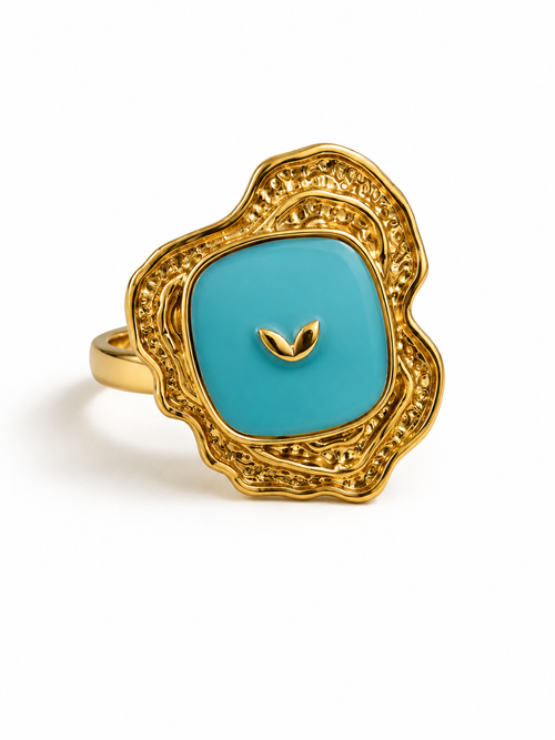 Anillo Moral